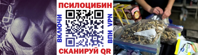 Псилоцибиновые грибы Psilocybe  Челябинск 