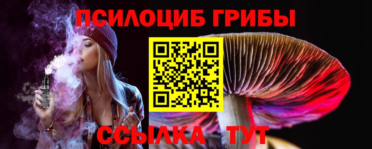Галлюциногенные грибы Psilocybine cubensis Челябинск